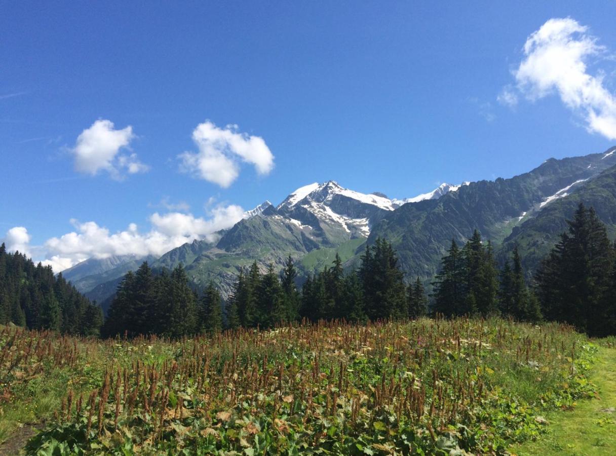 Bel Appartement Au Decor Montagnard - 80M2 Les Contamines-Montjoie Eksteriør billede